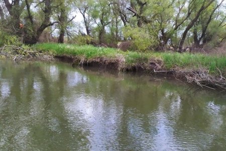 Уровень воды в низовье Днестра падает: нерест под угрозой (фото)