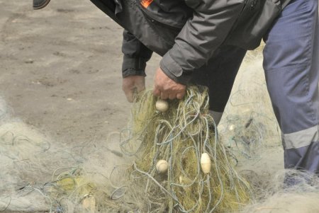 Более тысячи браконьерских орудий лова уничтожил за раз Одесский рыбоохранный патруль (фото)