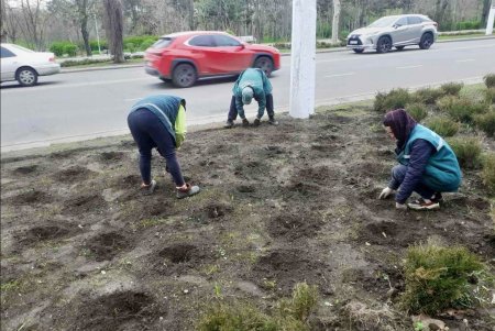 Во всех районах города озеленители сажают цветы, косят траву и создают композиции на клумбах (фото)