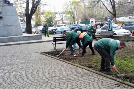 Во всех районах города озеленители сажают цветы, косят траву и создают композиции на клумбах (фото)