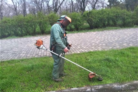 Во всех районах города озеленители сажают цветы, косят траву и создают композиции на клумбах (фото)