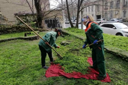 Во всех районах города озеленители сажают цветы, косят траву и создают композиции на клумбах (фото)