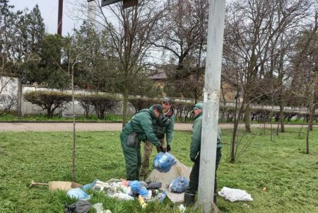 Во всех районах города озеленители сажают цветы, косят траву и создают композиции на клумбах (фото)