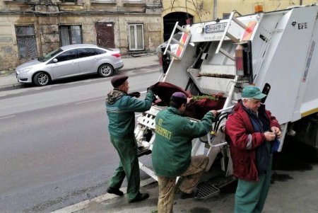 Во всех районах города озеленители сажают цветы, косят траву и создают композиции на клумбах (фото)