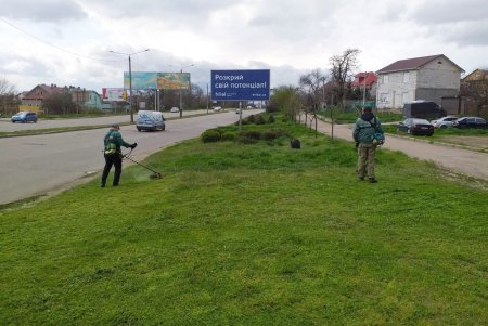 Во всех районах города озеленители сажают цветы, косят траву и создают композиции на клумбах (фото)