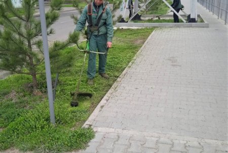 Во всех районах города озеленители сажают цветы, косят траву и создают композиции на клумбах (фото)
