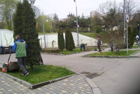 Во всех районах города озеленители сажают цветы, косят траву и создают композиции на клумбах (фото)