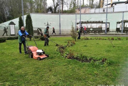 Во всех районах города озеленители сажают цветы, косят траву и создают композиции на клумбах (фото)