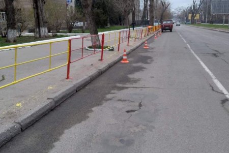 Рядом с учебными заведениями Приморского района обновлены перильные ограждения