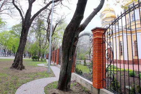 Алексеевский сквер: излюбленный уголок одесской Молдаванки (фоторепортаж) 
