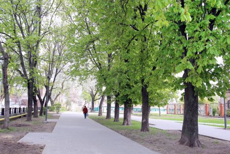 Алексеевский сквер: излюбленный уголок одесской Молдаванки (фоторепортаж) 