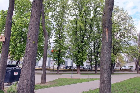 Алексеевский сквер: излюбленный уголок одесской Молдаванки (фоторепортаж) 