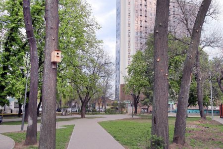 Алексеевский сквер: излюбленный уголок одесской Молдаванки (фоторепортаж) 