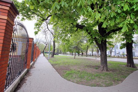 Алексеевский сквер: излюбленный уголок одесской Молдаванки (фоторепортаж) 