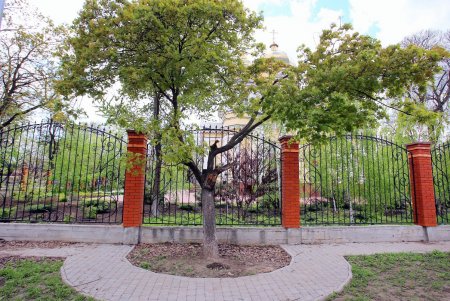 Алексеевский сквер: излюбленный уголок одесской Молдаванки (фоторепортаж) 