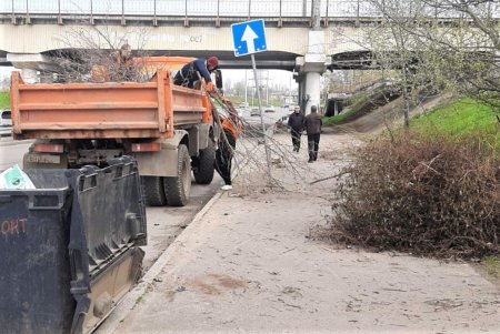 Одесские коммунальщики очищают улицы, проводят ремонт, косят траву, высаживают цветы и моют остановки (фото)