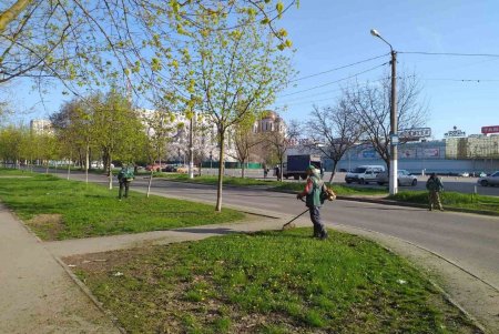 Одесские коммунальщики очищают улицы, проводят ремонт, косят траву, высаживают цветы и моют остановки (фото)