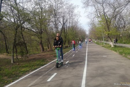 На Трассе здоровья нанесено почти шесть километров новой разметки (фото)