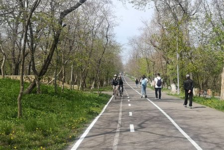 На Трассе здоровья нанесено почти шесть километров новой разметки (фото)