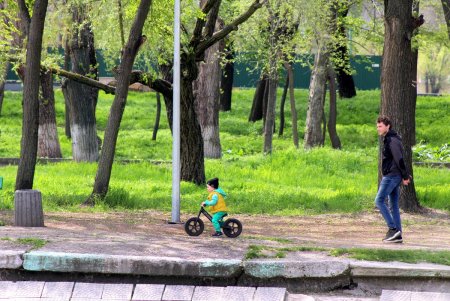 В Дюковском парке чистят малый пруд (фоторепортаж)