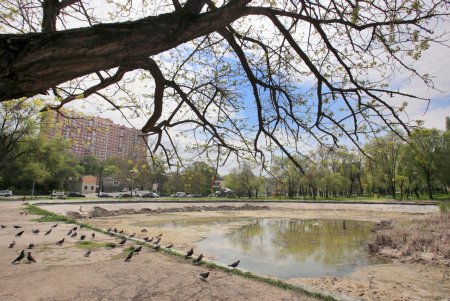 В Дюковском парке чистят малый пруд (фоторепортаж)