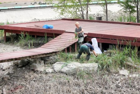 В Дюковском парке чистят малый пруд (фоторепортаж)