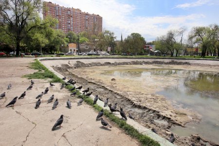 В Дюковском парке чистят малый пруд (фоторепортаж)