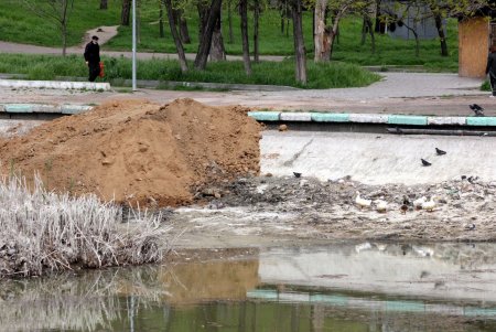 В Дюковском парке чистят малый пруд (фоторепортаж)