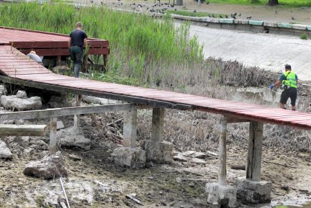 В Дюковском парке чистят малый пруд (фоторепортаж)