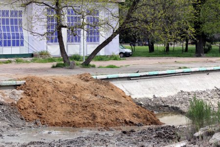 В Дюковском парке чистят малый пруд (фоторепортаж)