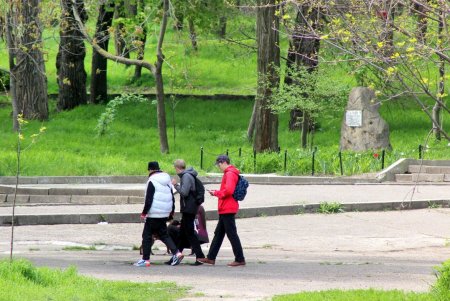 В Дюковском парке чистят малый пруд (фоторепортаж)