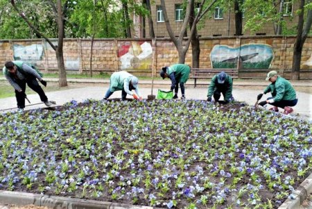 Ежедневно сотрудники КП «Горзелентрест» очищают от мусора парки и скверы, а также косят траву и высаживают растения (фото)
