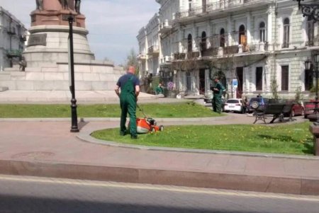 Ежедневно сотрудники КП «Горзелентрест» очищают от мусора парки и скверы, а также косят траву и высаживают растения (фото)