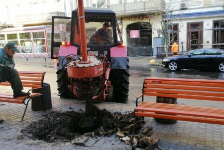 Ежедневно сотрудники КП «Горзелентрест» очищают от мусора парки и скверы, а также косят траву и высаживают растения (фото)
