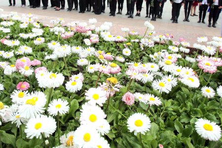 Старшеклассники одесских школ возобновили несение Вахты Памяти на Аллее Славы (фоторепортаж)