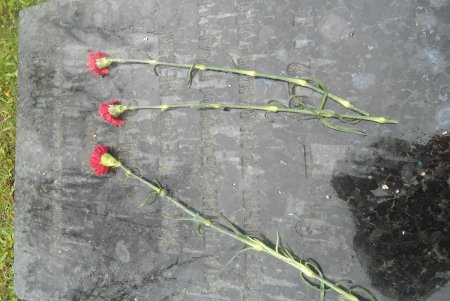 На Аллее Славы по случаю Дня памяти и примирения возложили цветы к памятнику Неизвестному матросу (фото)