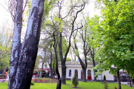 Выходные майские дни в центре Одессы (фоторепортаж)