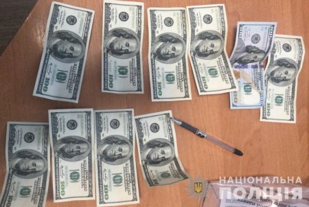 Житель Одесской области вырубил лес и, чтобы уйти от наказания, предложил 1000 долларов взятки полицейскому (фото, видео)