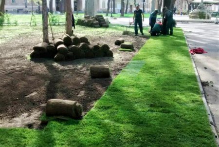 Одессу украшают цветами: всего установят 200 подвесных ваз с петуниями (фото)