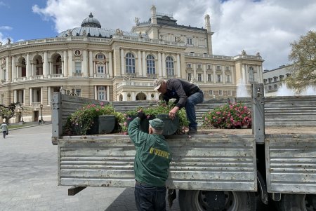 Одессу украшают цветами: всего установят 200 подвесных ваз с петуниями (фото)