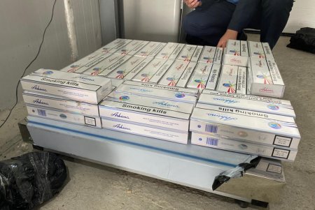 Служебный пес пограничников помог выявить табачную контрабанду в паромном пункте пропуска «Орловка» (фото, видео)