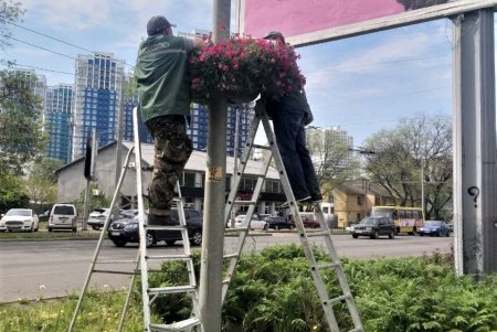 Ремонт качелей, покос травы, уборка территорий: сотрудники ЖКСов активно проводят санитарные дни (фото)