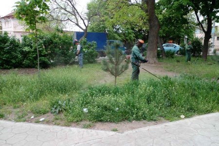 Ремонт качелей, покос травы, уборка территорий: сотрудники ЖКСов активно проводят санитарные дни (фото)