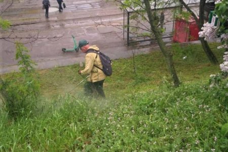 Коммунальщики регулярно косят траву для борьбы с сорняками и клещами (фото)
