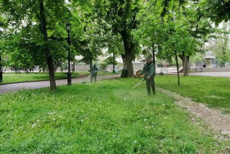 Коммунальщики регулярно косят траву для борьбы с сорняками и клещами (фото)