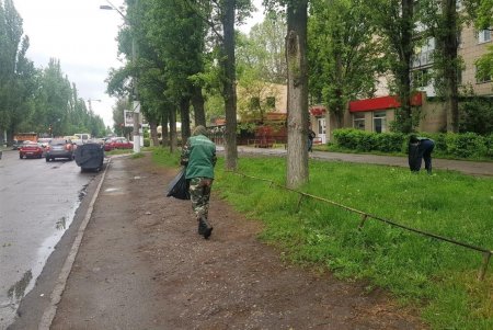 Коммунальщики регулярно косят траву для борьбы с сорняками и клещами (фото)