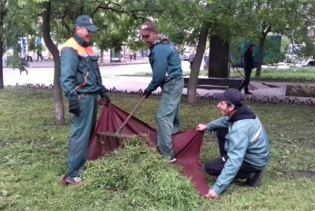 Коммунальщики регулярно косят траву для борьбы с сорняками и клещами (фото)