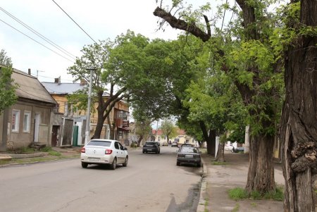 Станет ли Краснослободская улицей Праведников мира (фоторепортаж)