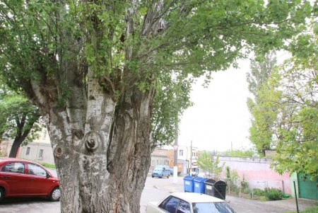 Станет ли Краснослободская улицей Праведников мира (фоторепортаж)