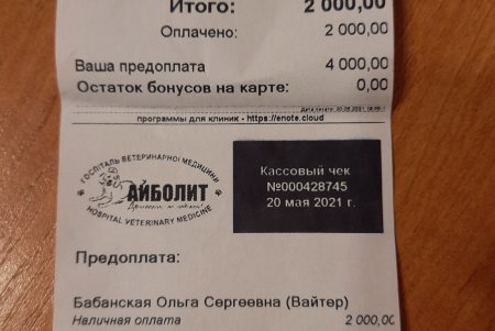 Трех собак оставили в селе Светлое на две недели умирать без воды и еды (фото, видео)